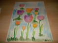 /album/aquarelle-und-anderes/tulpen-aquarell-jpg/